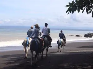 Horseback Riding Jaco