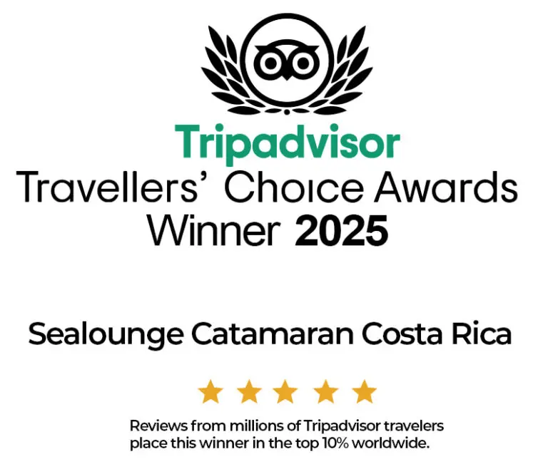 Tripadvisor catamaran jaco