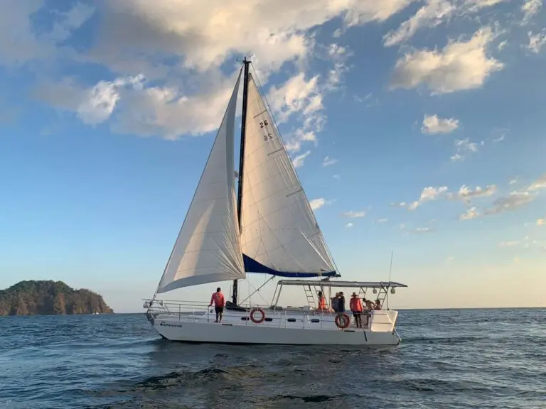 catamaran jaco