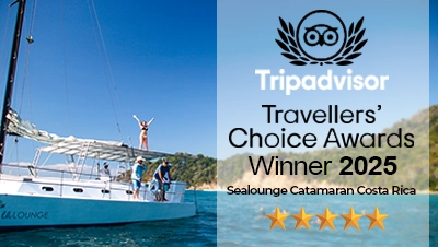 sealounge catamaran tripadvisor