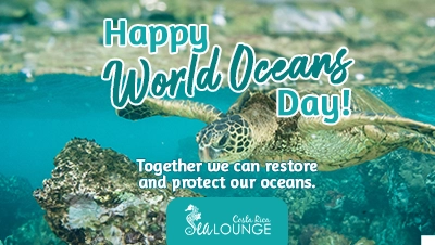 world oceans day in playa fantasia