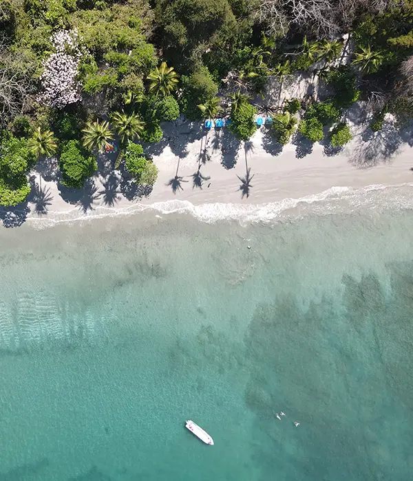 Sealounge Catamaran Tour Playa Fantasia