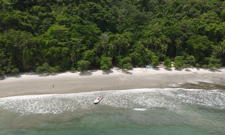 Catamaran Jaco