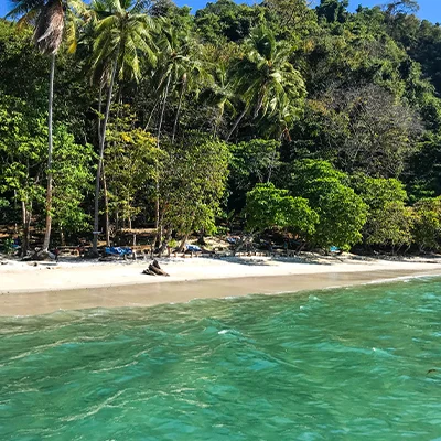 Snorkeling Tour Jaco