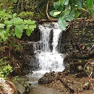 Private Full Day Tour Jaco