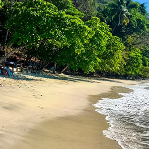 Private Full Day Tour Jaco